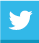 icono twitter color